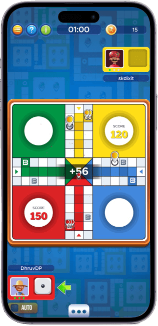point ludo games play